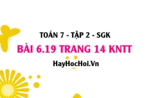 Bài 6.19 trang 14 Toán 7 Tập 2 Kết nối tri thức
